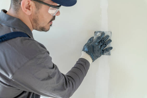 Best Black Mold Removal  in Belton, MO